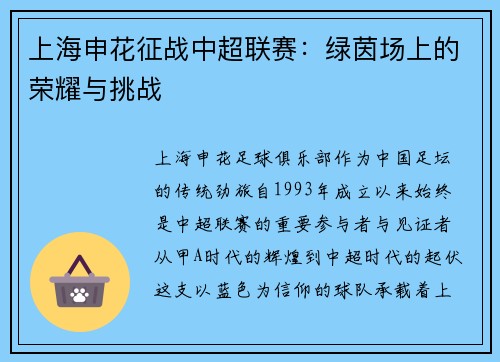 上海申花征战中超联赛：绿茵场上的荣耀与挑战